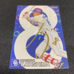 m15882989771_1.jpg?1730734231