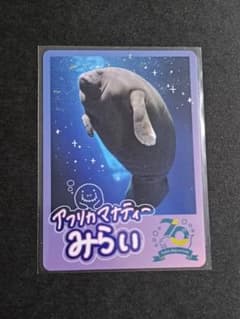 アフリカマナティー みらい 鳥羽水族館 70周年 コレクションカード