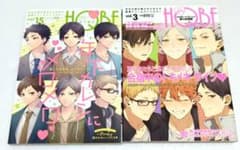 HQボーイフレンド2冊セット年下彼氏+第3体育館 ハイキューアンソロジー