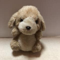 m18630853678_1.jpg?1641177603