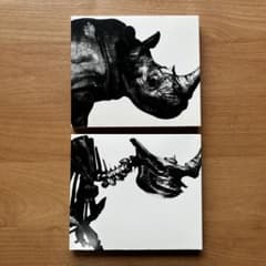 Mr.Children ベストアルバム2枚セット 肉 骨 - メルカリ