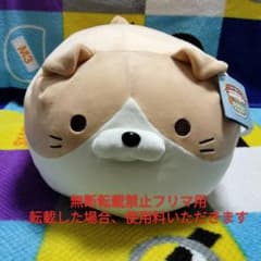 新品 ごろねこサミット 第14回おうち代表ねこ会議 ジャクソン - メルカリ