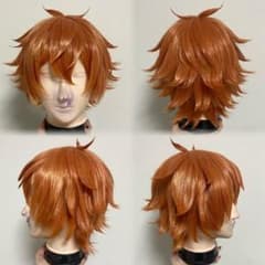 ツイステ エース・トラッポラ コスプレ ウィッグ - メルカリ