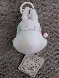 m12797278307_1.jpg?1761536672