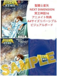 聖闘士星矢 NEXT DIMENSION 冥王神話16+アニメイト特典 A - メルカリ