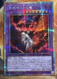 m13826770809_1.jpg?1761446741