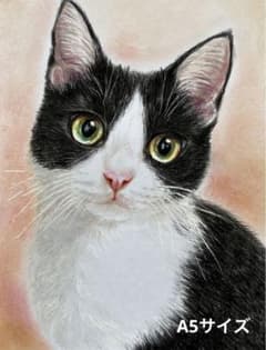 猫 絵画 子猫 イラスト 水彩色鉛筆 油彩色鉛筆 原画 ハチワレ猫ちゃん