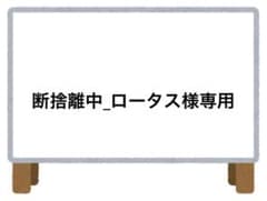 断捨離中_ロータス様 リクエスト 4点 まとめ商品 - メルカリ