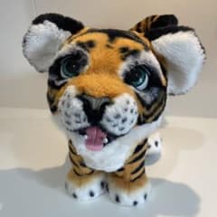 m21163210207_1.jpg?1720076885