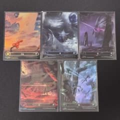 m21535020913_1.jpg?1753512243