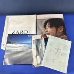 ZARD 坂井泉水 Tour パンフレット/フォトブック/フライヤー - メルカリ