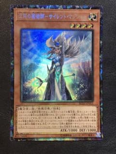 m38557999005_1.jpg?1756919499