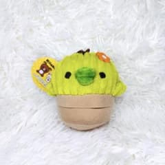 タグ有 新品 リラックマ キイロイトリ サボテン ぬいぐるみ マスコット