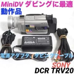 SONY ビデオカメラ CCD-TR250 撮影・ダビング用に ハンディカム | Shop