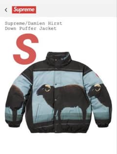 Supreme/Damien Hirst Down Puffer Jacket - メルカリ