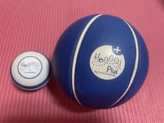 ユミコア ホグッシープラス 2点 - メルカリ