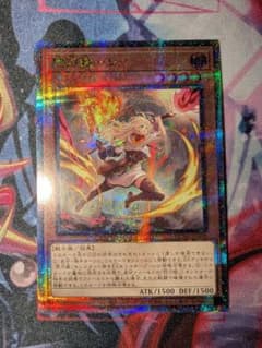 m32700175357_1.jpg?1740153708