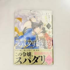 ウィズレイン王国物語 竜が花嫁 2 すぎの 直筆イラスト入りサイン本