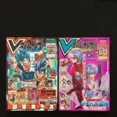 m72130902620_1.jpg?1763685868