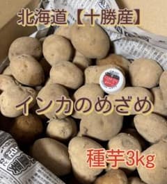 北海道 〖十勝産〗 インカのめざめ 種芋 3kg - メルカリ