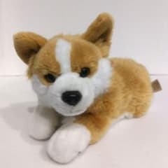 安いREGALO リアルドッグコレクションの通販商品を比較 | ショッピング