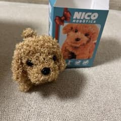 m88180793818_1.jpg?1751987067