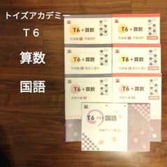 トイズアカデミー T6 算数 見極め編 割合と速さ 平面図形 国語 知識
