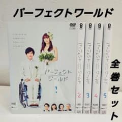 全巻セット「パーフェクトワールド」DVD レンタル 松坂桃李 松村北斗