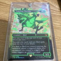 m82961597816_1.jpg?1749370084