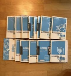 書き込みあり！】薬ゼミ/弱点克服問題集(白問)第110回薬剤師国家試験