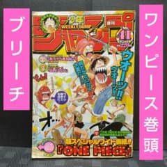 週刊少年ジャンプ 2001年41号※ワンピース 巻頭※BLEACH センター - メルカリ
