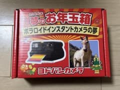 ヨドバシ お年玉箱 ポラロイドカメラの夢 - メルカリ