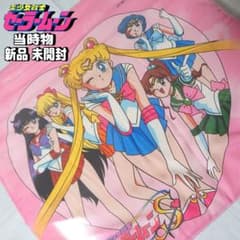 美少女戦士セーラームーン 当時物 シートクッション 激レア 新品未使用