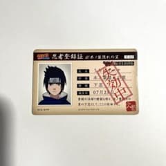 m98113013300_1.jpg?1732769058