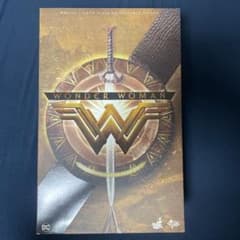 ナ*ス様 ホットトイズ ワンダーウーマン トレーニング・アーマー