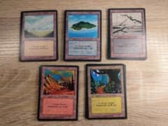 MTG FBB 3ED ドイツ語 基本土地40枚 - メルカリ