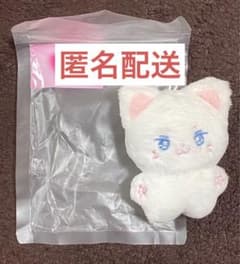 SEVENTEEN JUN ジュン 10cm ドール ぬいぐるみ - メルカリ