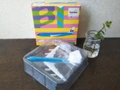 ブラニフ航空 ヘルパ アレキサンダー・ジラルド エミリオ・プッチ