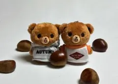 2026年最新】ヘチャン ぬいぐるみ 이곰도の人気アイテム - メルカリ