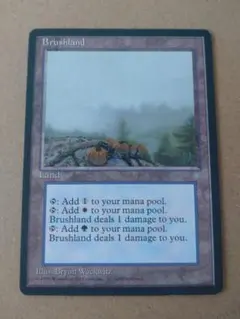 2026年最新】低木林地の人気アイテム - メルカリ