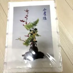 2026年最新】小原流の人気アイテム - メルカリ