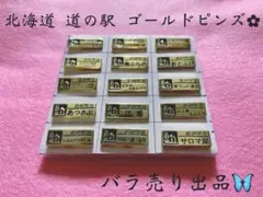 2026年最新】北海道道の駅ゴールドピンズの人気アイテム - メルカリ