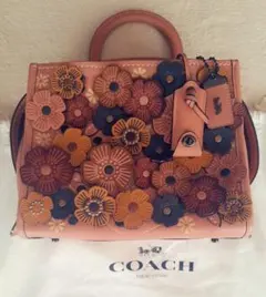 2026年最新】コーチ ティーローズ バッグの人気アイテム - メルカリ