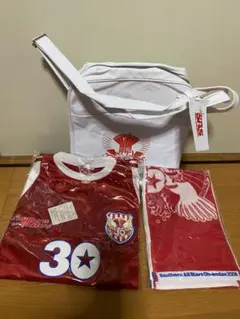 2026年最新】サザン 真夏の大感謝祭30周年の人気アイテム - メルカリ