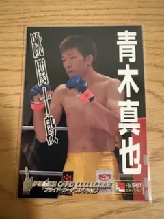 2026年最新】ヴァンダレイ・シウバの人気アイテム - メルカリ