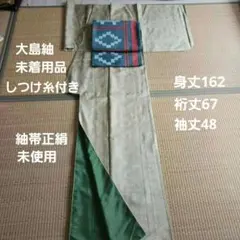 2026年最新】大島紬 帯 セットの人気アイテム - メルカリ