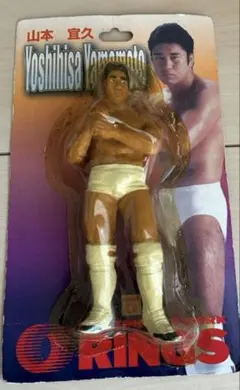 2026年最新】ヒクソンの人気アイテム - メルカリ