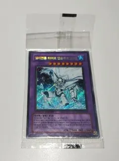 2026年最新】アブソルートzero 韓国の人気アイテム - メルカリ