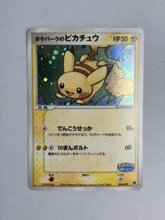 ポケパークのピカチュウ ポケパークプレミアムファイル 004/009 - メルカリ