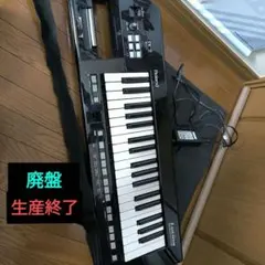 2026年最新】roland lucinaの人気アイテム - メルカリ
